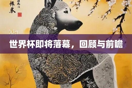 世界杯即将落幕，回顾与前瞻