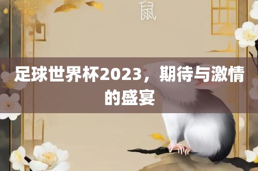 足球世界杯2023，期待与激情的盛宴