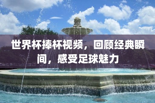世界杯捧杯视频，回顾经典瞬间，感受足球魅力
