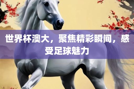 世界杯澳大，聚焦精彩瞬间，感受足球魅力