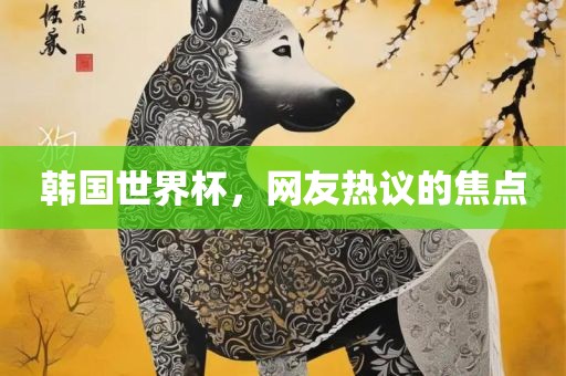韩国世界杯，网友热议的焦点