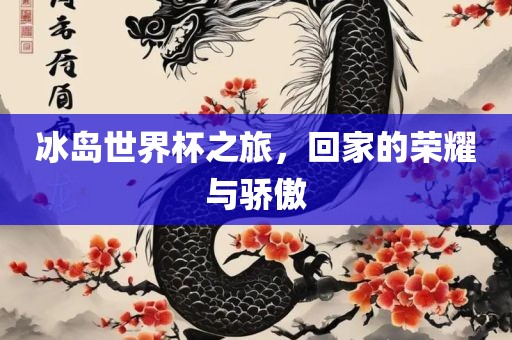冰岛世界杯之旅，回家的荣耀与骄傲