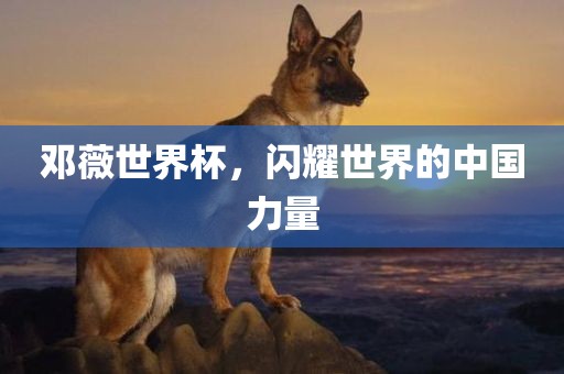 邓薇世界杯，闪耀世界的中国力量