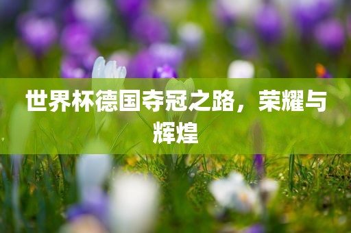 世界杯德国夺冠之路，荣耀与辉煌