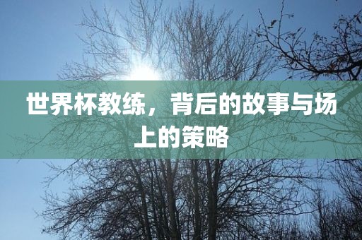 世界杯教练，背后的故事与场上的策略