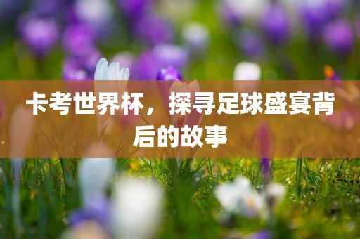 卡考世界杯，探寻足球盛宴背后的故事