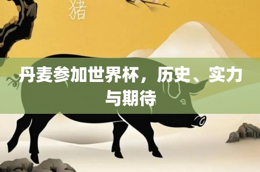 丹麦参加世界杯，历史、实力与期待
