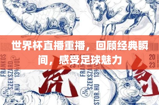 世界杯直播重播，回顾经典瞬间，感受足球魅力