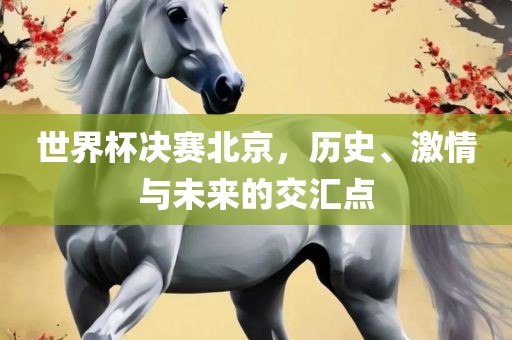 世界杯决赛北京，历史、激情与未来的交汇点