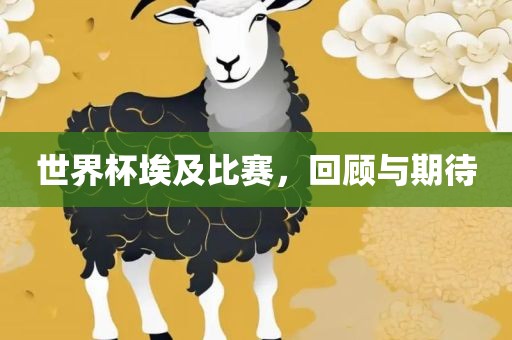 世界杯埃及比赛，回顾与期待