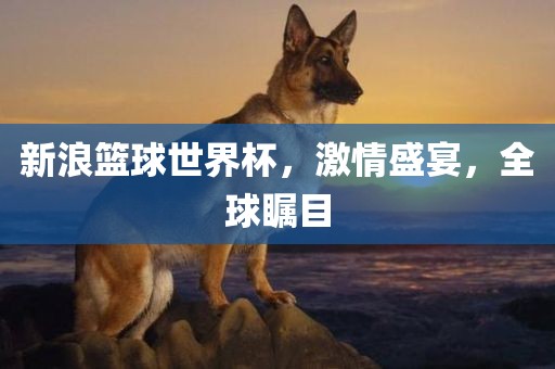 新浪篮球世界杯，激情盛宴，全球瞩目