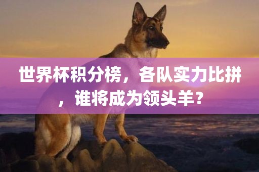 世界杯积分榜，各队实力比拼，谁将成为领头羊？