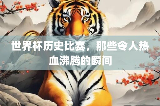 世界杯历史比赛，那些令人热血沸腾的瞬间