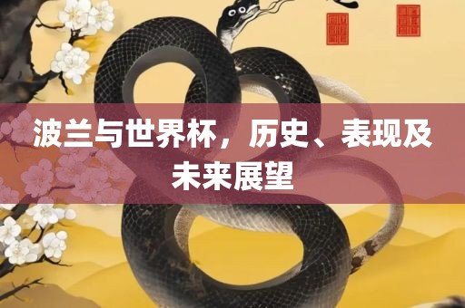 波兰与世界杯，历史、表现及未来展望