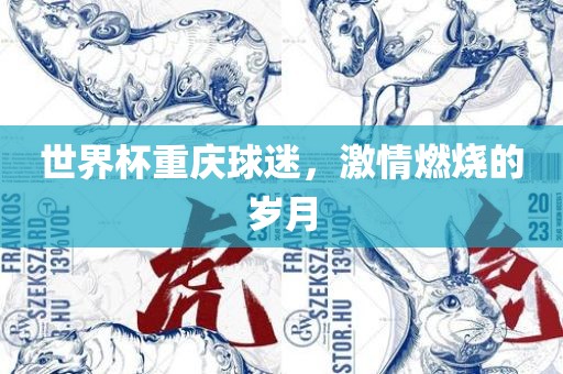 激情燃烧的岁月