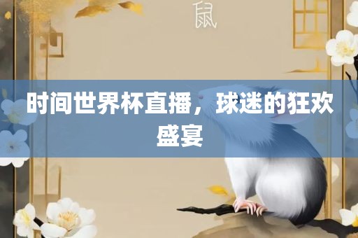 时间世界杯直播，球迷的狂欢盛宴