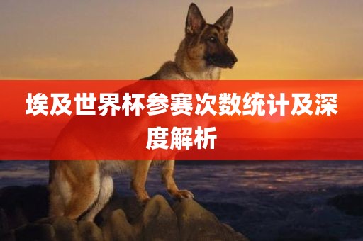 埃及世界漯河市盈旭机械设备有限公司杯参赛次数统计及深度解析