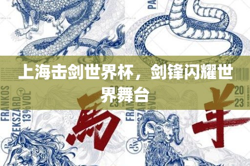 上海击剑世界杯，剑锋闪耀世界舞台