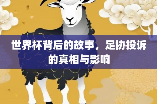 世界杯背后的故事，足协投诉的真相与影响