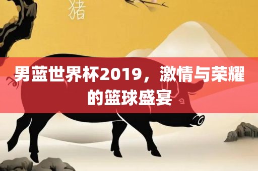 男蓝世界杯2019，激情与荣耀的篮球盛宴