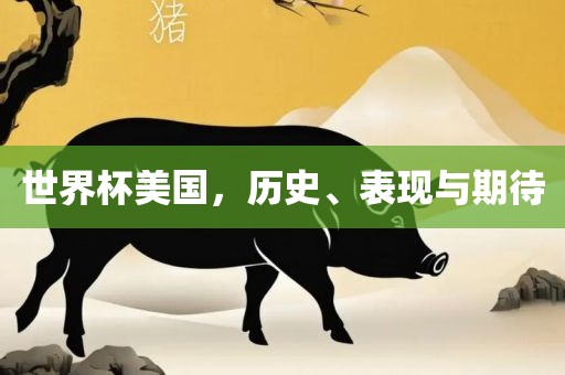 世界杯美国，历史、表现与期待