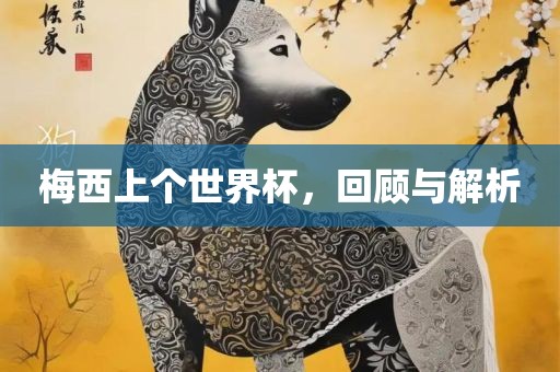 梅西上个世界杯，回顾与解析