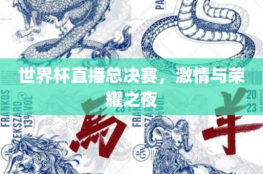 世界杯直播总决赛，激情与荣耀之夜
